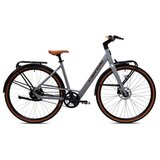 Capriolo e-bike belt drive sivo-bež (480) ( 925840 ) Cene