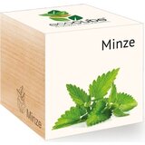 Feel Green ecocube "zelišča" - mint Cene