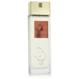 Oud Patchouli 100 ml parfumska voda unisex