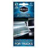 Praxis sijalica halogen H7 24V 55vv blis | ePonuda.com