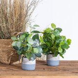 Ixia Umetna rastlina (višina 39 cm) Leaves – | Shoptok.si