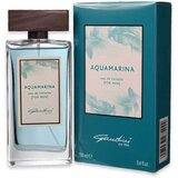 Coswell S.p.A. Gandini Muška toaletna voda Aquamarina, EDT, 100 ml | Eponuda.com