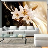  Tapeta - Circle of Light 100x70 Cijene