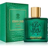 Roberto Cavalli Uomo Verde Assoluto parfumska voda za moške 100 ml | Shoptok.si
