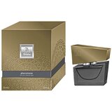 Hot Feromoni za moške "Shiatsu Pheromone Gray" - 50 ml (R90510_594) | Shoptok.si