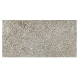 Talne ploščice Stoneway Porfido (15 x 30 cm, Siva, Mat)