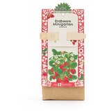  Minigarten: Set za vzgojo - jagode | Shoptok.si