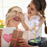 Venisymlis Vrtnica V Stekleni Kupoli, LED Svetloba, Darilo Za Valentinovo In Rojstni Dan, (22060135) | Shoptok.si