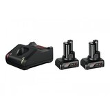 Bosch Začetni komplet Professional 2 x GBA 12V 6.0Ah + GAL 12V-40 1600A01B20 | Shoptok.si