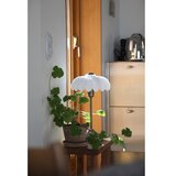 Markslöjd Kremno bela/medeninasta namizna svetilka (višina 43 cm) Kurage – | Shoptok.si
