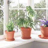  Saksije za biljke 24 pcs Crvena cigla Ø 17 x 14 cm Plastika | shoptok.hr