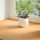  Prozorske klupice 2 kom svijetlosmeđe 100x40x2 cm masivne hrast | shoptok.hr