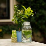 Esschert Design Vrč za piće s pipom 3,6 l – | shoptok.hr