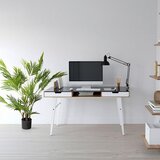MID.YOU Umetna Rastlina Areca I | Shoptok.si
