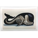 Nychos Sperm Whale Skeleton Fine Art Print multicolor Cene