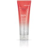 JOICO Labaratories, Los Angeles. youthlock conditioner 250ml Cene