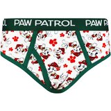 Licensed Boys briefs Paw Patrol 3P Frogies | Eponuda.ba