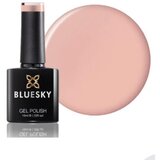  BLUESKY TRAJNI LAK NUDE KNICKERS | Eponuda.ba