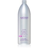 FarmaVita Amethyste Color šampon za barvane, kemično obdelane lase in posvetljene lase 1000 ml | Shoptok.si