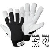 L+D Griffy Zimske montažne rokavice, bele / črne barve, DE 10 parov, velikost 12 (3XL) Cene