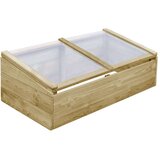 vidaXL rastlinjak 2 kosa impregnirana borovina 100x50x35 cm | Shoptok.si