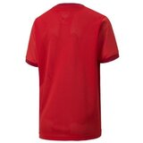 Puma Teamgoal 23 Jersey Crvena | shoptok.hr