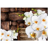  Tapeta - Blooming orchids 350x245 | shoptok.hr