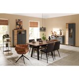 Mömax Vitrina Sunny, Temni Hrast, Antracit | Shoptok.si