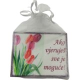 AKO Če verjameš, je vse mogoče ... Š12417 Magnet | Shoptok.si
