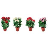  CVIJEĆE 21*38CM PVC 66458 Cijene