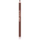Maybelline New York Lifter Liner olovka za usne 009 Peaking? | Eponuda.com