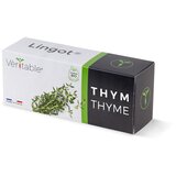 Veritable Lingot® Thyme - Organic | shoptok.hr