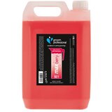 groom professional Koncentrovani šampon za ljubimce- MAX 50:1 Berry Cene