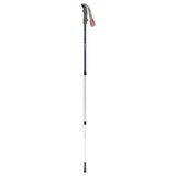 Robens Pohodni palici Keswich T6, (21159570) | Shoptok.si