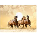  Tapeta - Running horses 350x270 | shoptok.hr