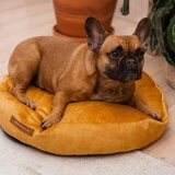 Rexproduct rumeno ležišče za pse ø 75 cm coco m | Shoptok.si