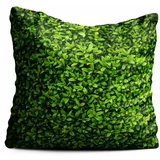 Oyo home zeleni jastuk Ivy, 40 x 40 cm