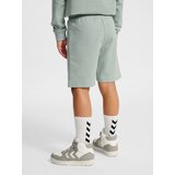 Hummel Hlače 'Tukas' pastelno zelena / bijela | shoptok.hr