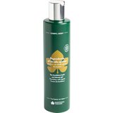 Biofficina Toscana Gel za prhanje rakitovec | Shoptok.si