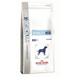 Royal Canin veterinarska dijeta za pse Mobility C2P+ 2kg Cene