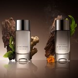 Issey Miyake Le Sel d'Issey parfumska voda za moške 100 ml | Shoptok.si