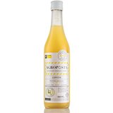 Agroposta Sirup limun 0,5 l Agroposta Cene