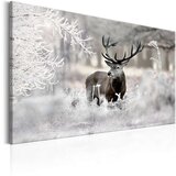  Slika - Lonely Deer 120x80 | shoptok.hr