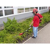 Einhell GE-HC 18 Li T Kit (1x3,0Ah) | Shoptok.si