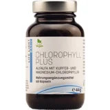 klorofil Plus