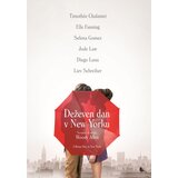 POSNETI MEDIJI DEŽEVEN DAN V NEW YORKU - DVD SL.POD., (683640) | Shoptok.si