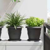  Saksije za biljke 24 pcs Crna Ø 22 x 18 cm Plastika | shoptok.hr