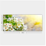 WALLXPERT YTYCCK9966_3080 Višenamenska Dekorativna Platna | Eponuda.com