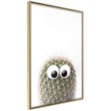  Poster - Funny Cactus II 30x45 | shoptok.hr