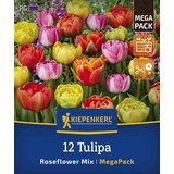 KIEPENKERL Mega pakiranje poznih tulipanov "Roseflower Mix" - 12 k. Cene